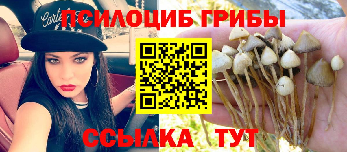 Рыбинск  Псилоцибиновые грибы мухоморы  Вход с VPN  Псилоцибиновые грибы Psilocybe 